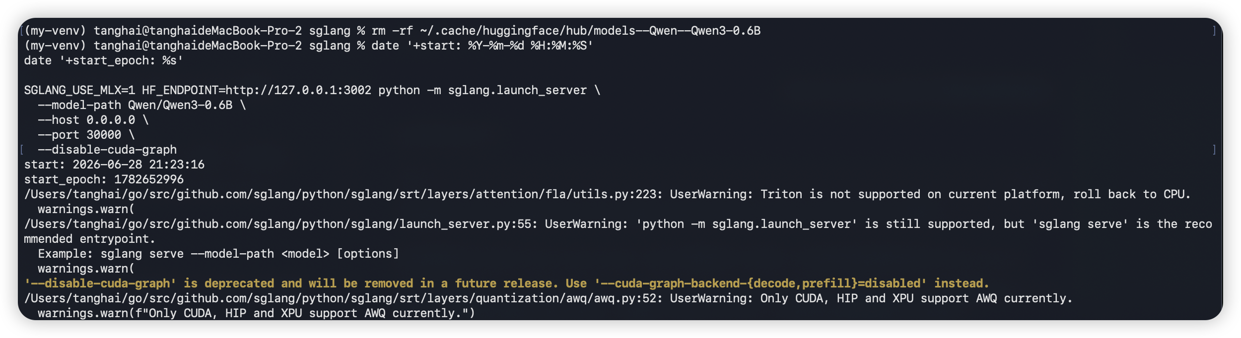Start SGLang with the MatrixHub endpoint