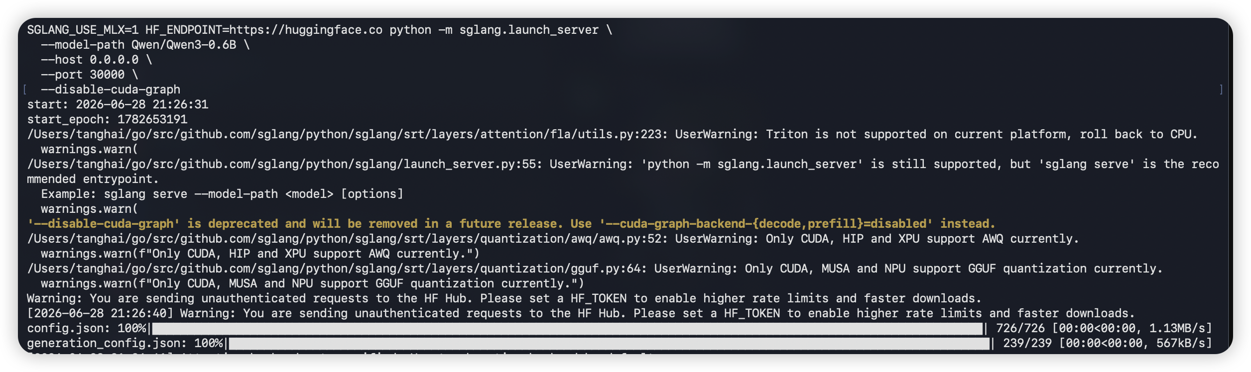 Call the SGLang OpenAI-compatible API