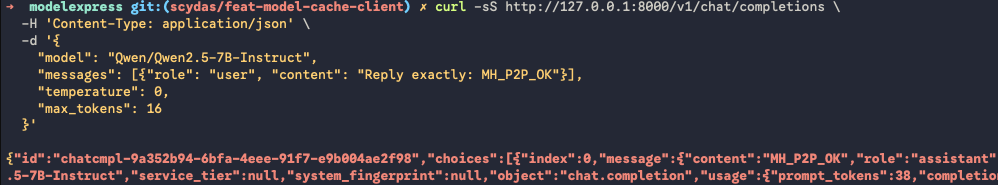 Target 推理请求返回 MH_P2P_OK