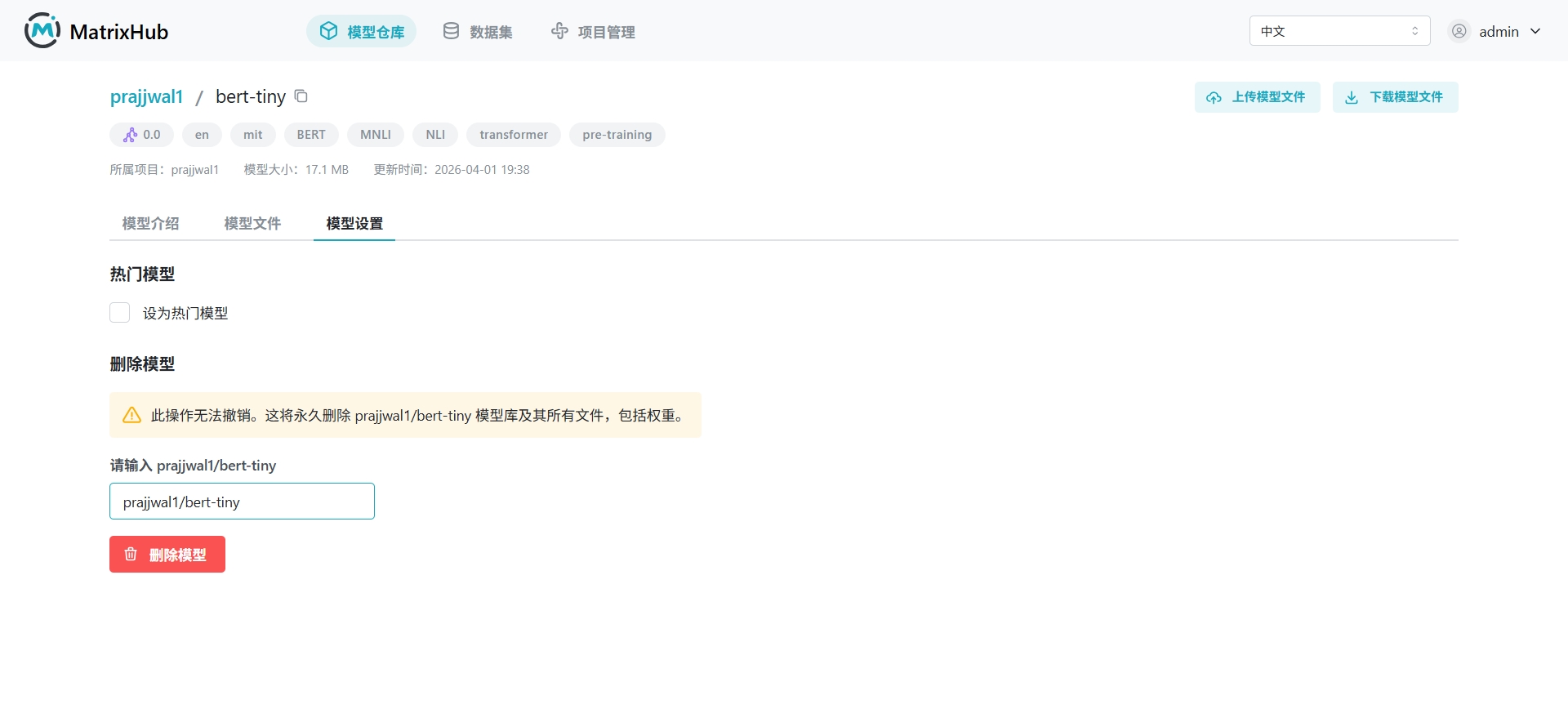 模型设置